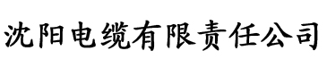 国产精品毛片电缆厂logo